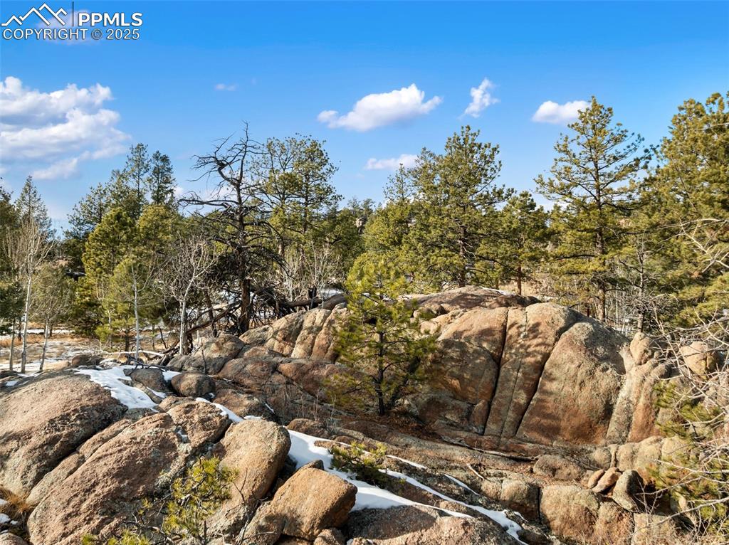 Image 16 of 28: Other