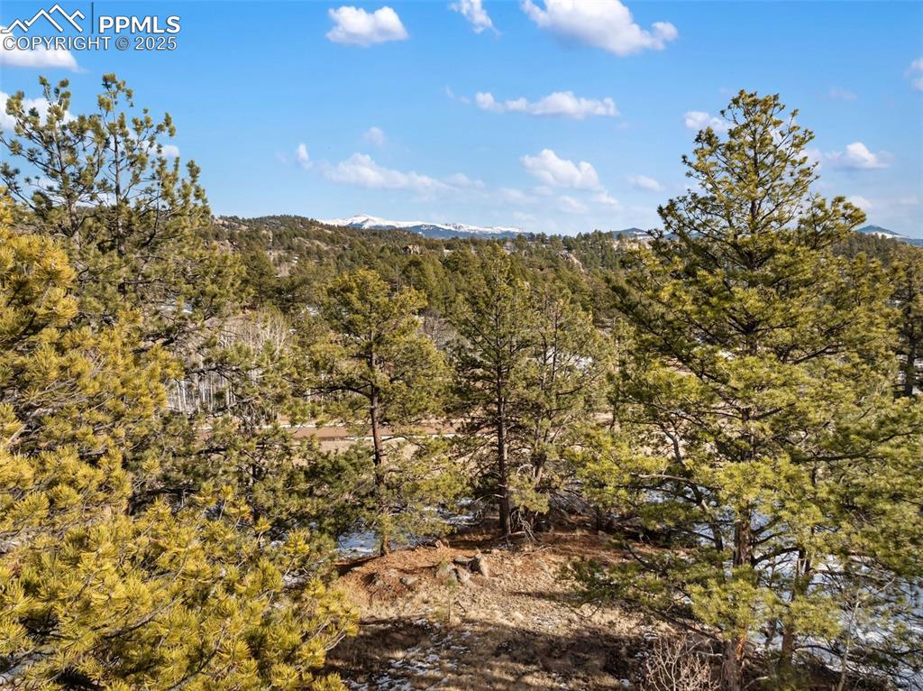 Image 4 of 28: Other