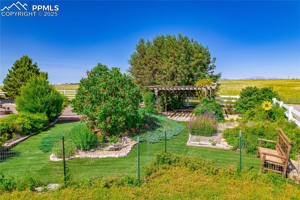 Image 27 of 45: View of yard with a garden and a pergola