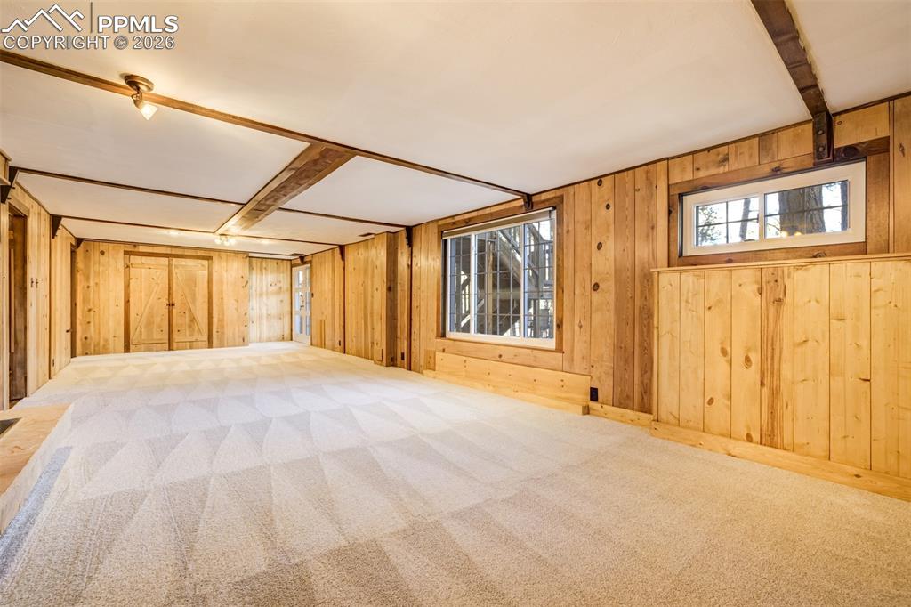 Image 34 of 50: Family room featuring walkout, new carpet, wood walls, a brick wood burning