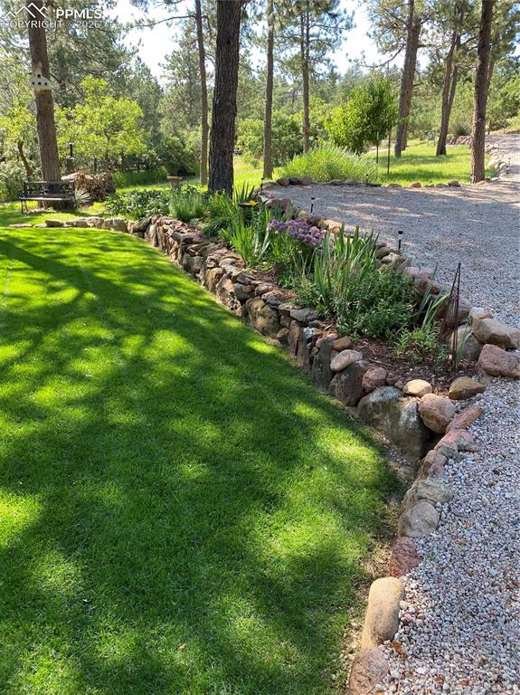 Image 43 of 50: View of green lawn