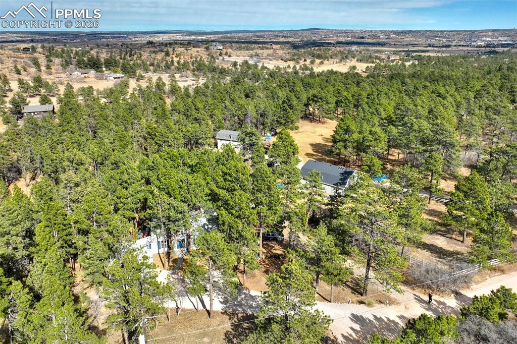 Image 50 of 50: Bird