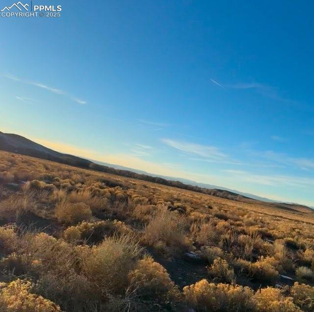 Image 14 of 14: Other