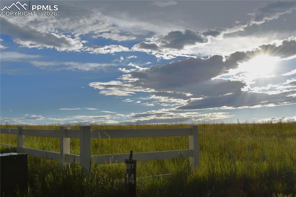 Image 10 of 11: Yard