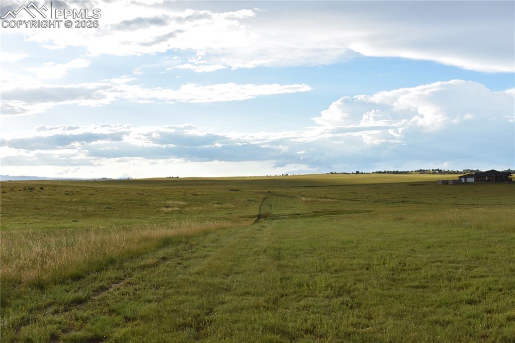 Image 4 of 11: Other