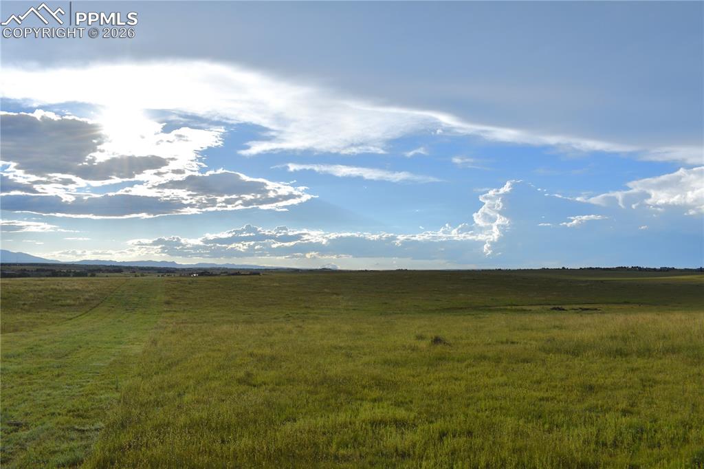 Image 6 of 11: Other