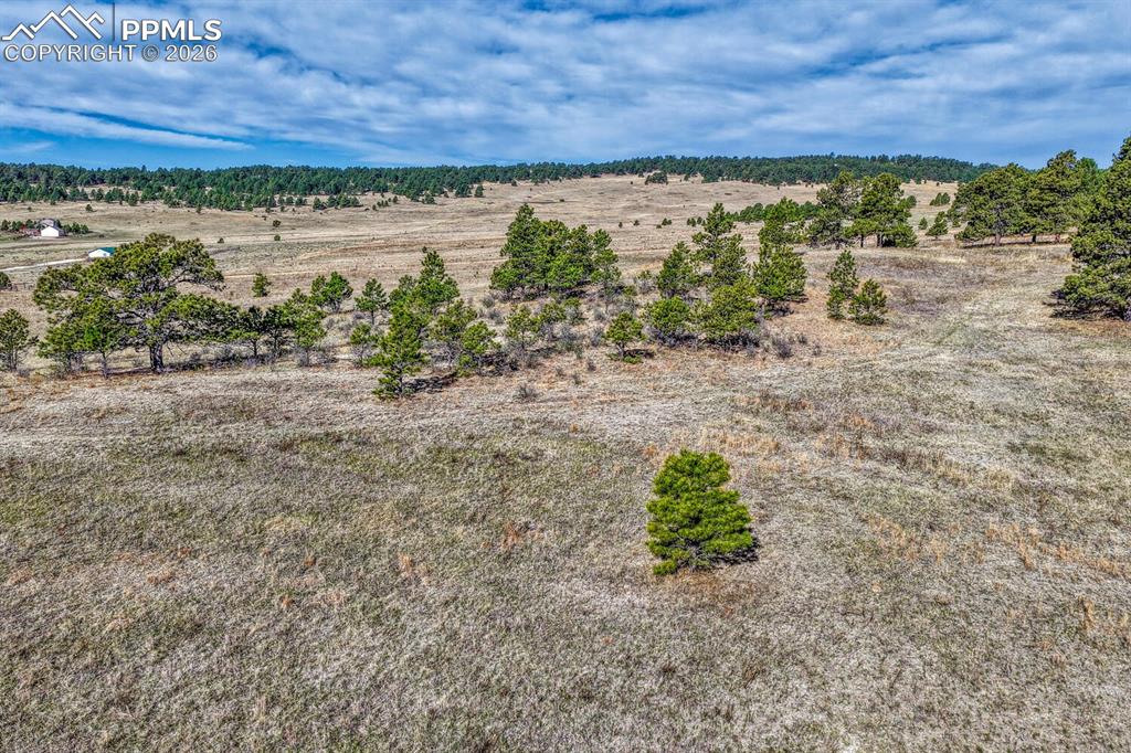 Image 15 of 33: Aerial View