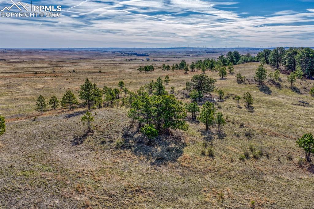 Image 6 of 33: Aerial View
