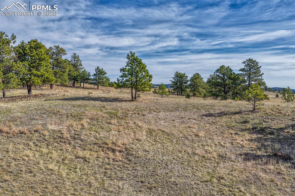 Image 9 of 33: Yard