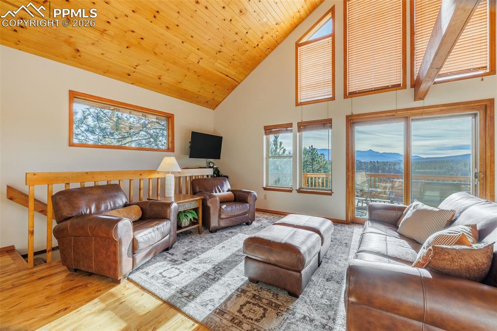 Image 25 of 49: Living Room