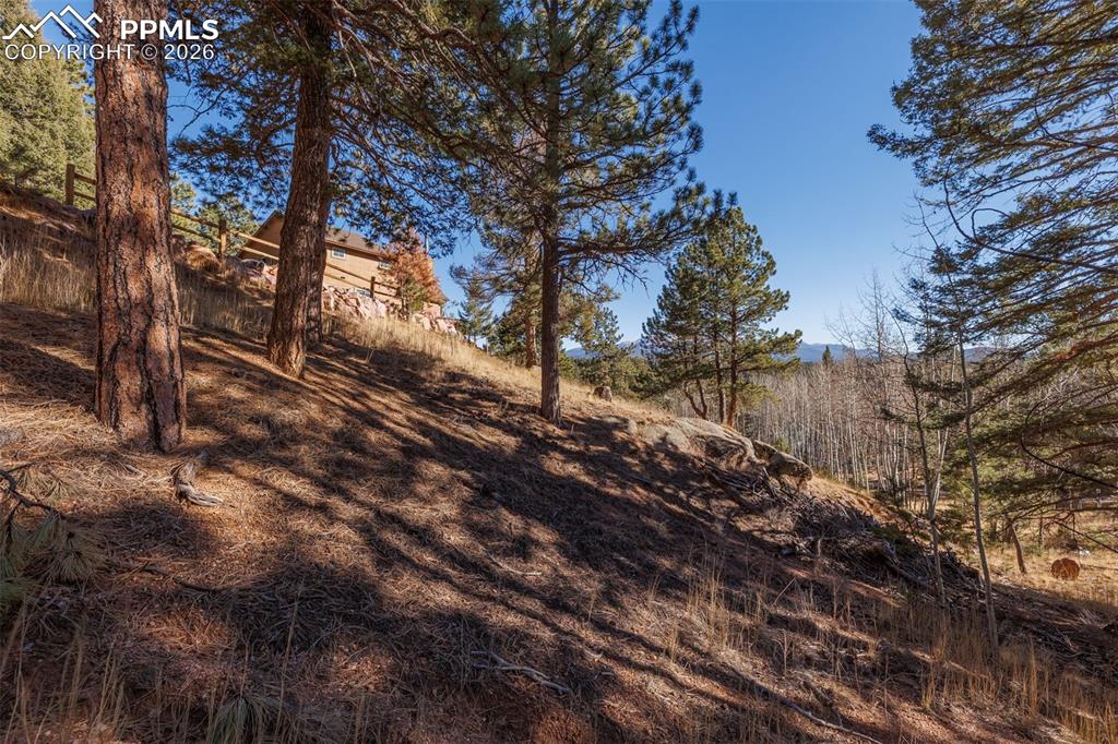 Image 43 of 49: Yard