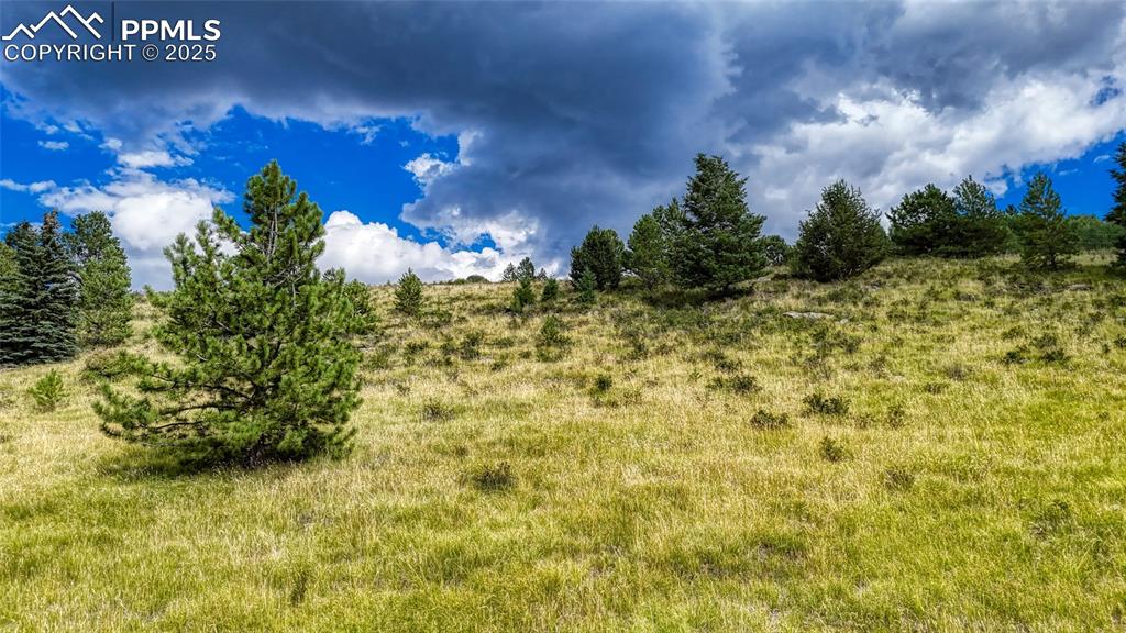 Image 10 of 28: Other