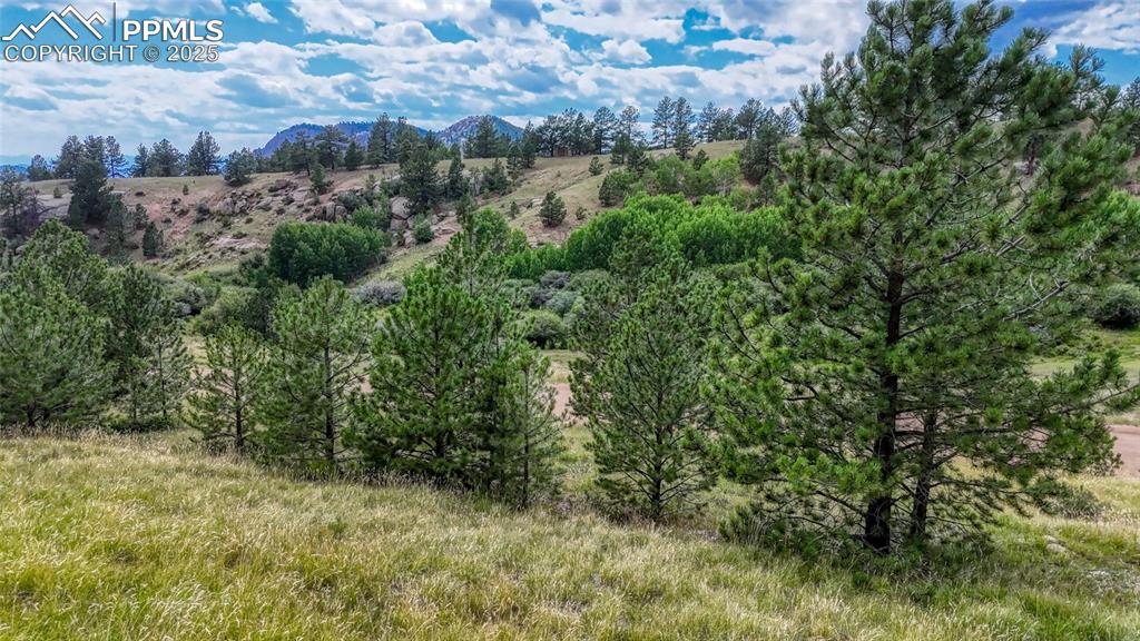 Image 11 of 28: View