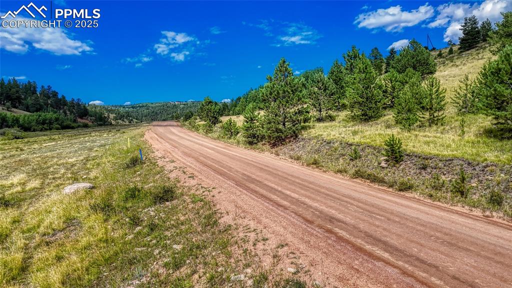 Image 15 of 28: Community