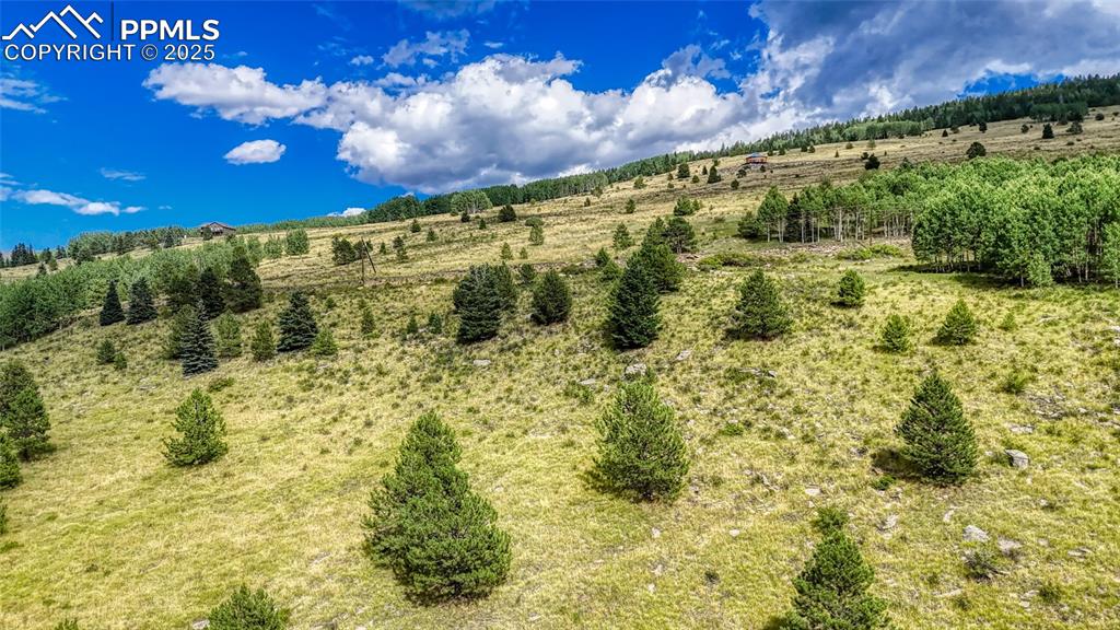 Image 16 of 28: Aerial View