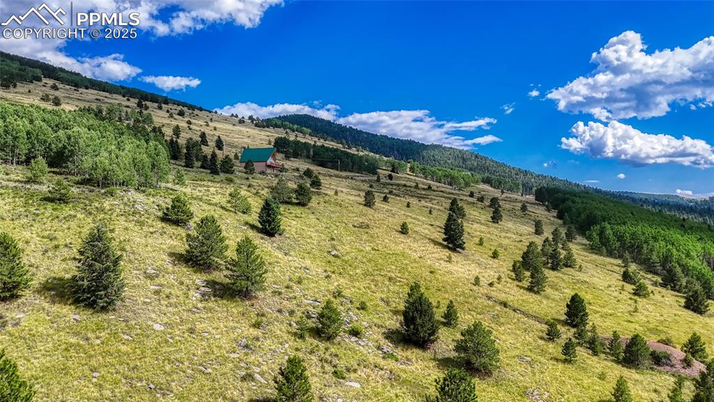 Image 17 of 28: View