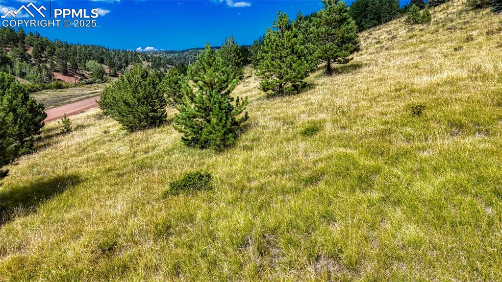 Image 21 of 28: Other