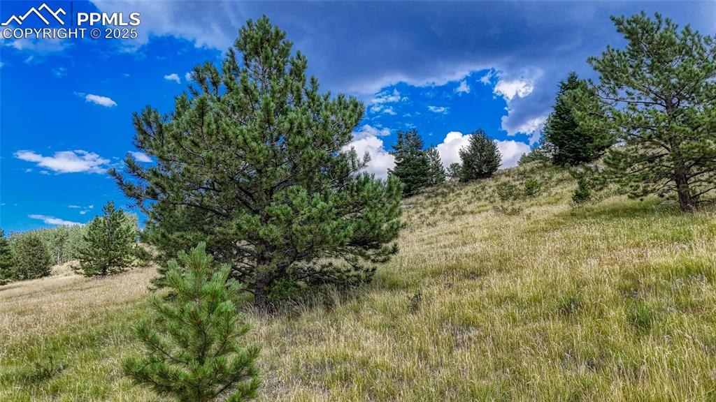 Image 26 of 28: Other