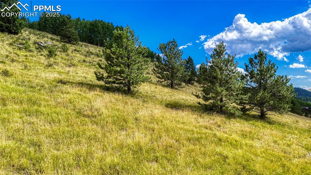 Image 27 of 28: Other