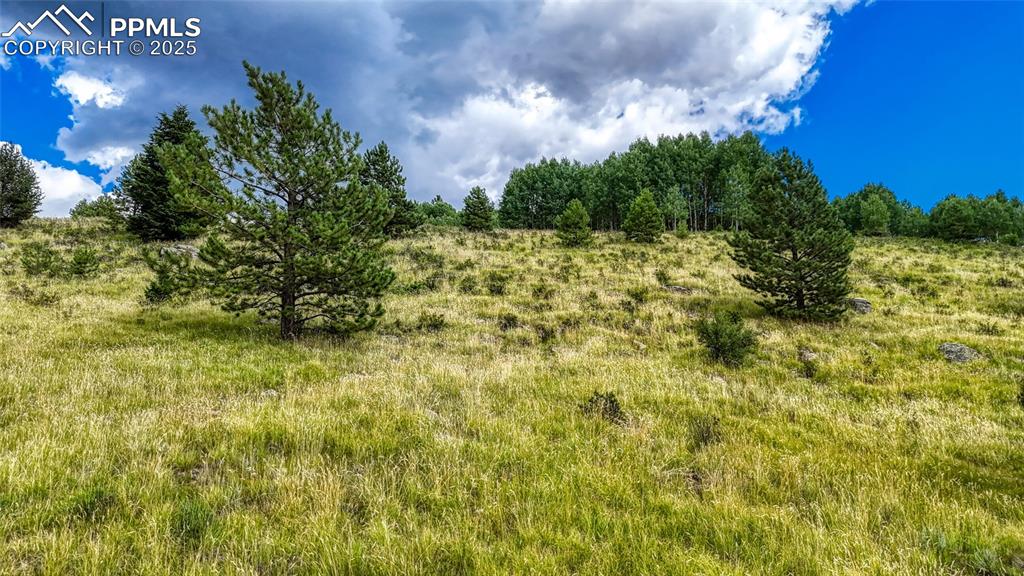 Image 5 of 28: Other