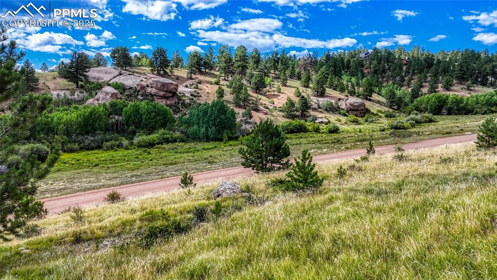 Image 6 of 28: Other