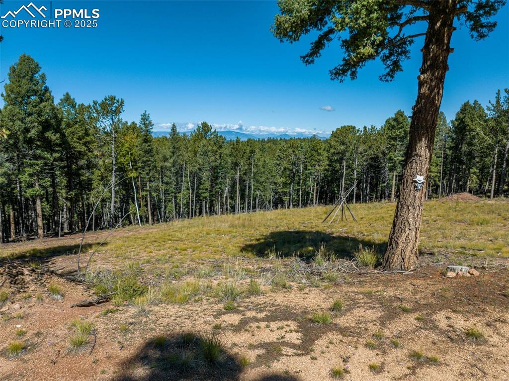 Image 10 of 21: Other