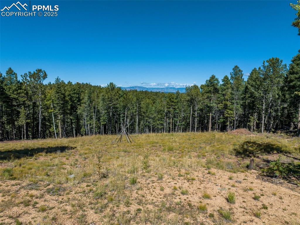 Image 11 of 21: Other