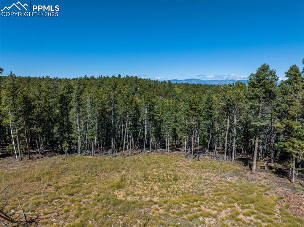 Image 12 of 21: Other