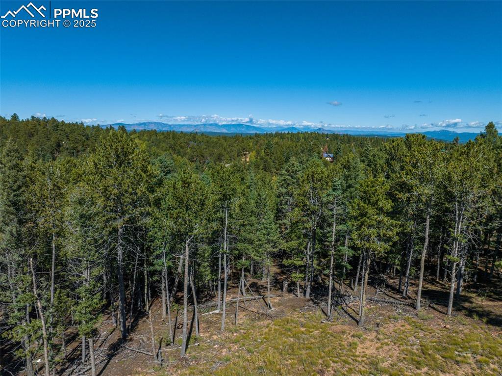 Image 13 of 21: Other