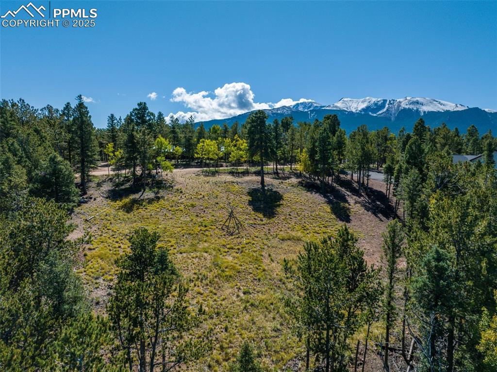 Image 14 of 21: View