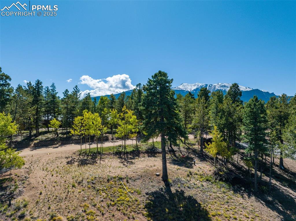 Image 15 of 21: View