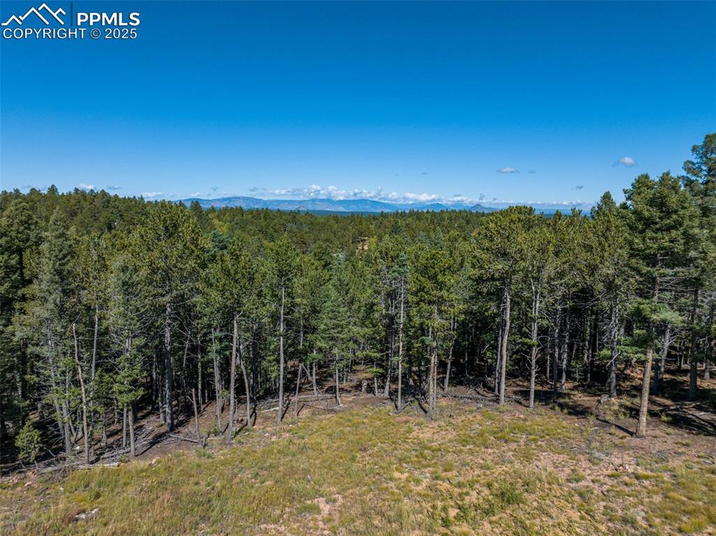 Image 18 of 21: Other