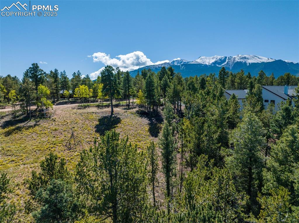 Image 19 of 21: View