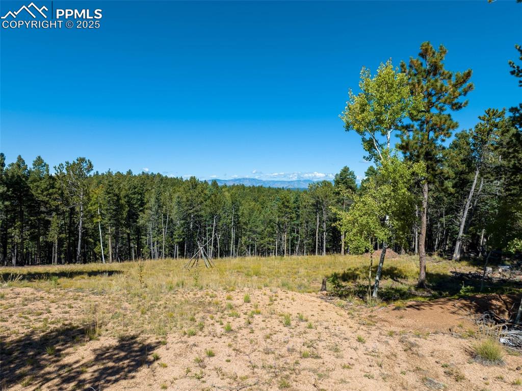 Image 2 of 21: Other