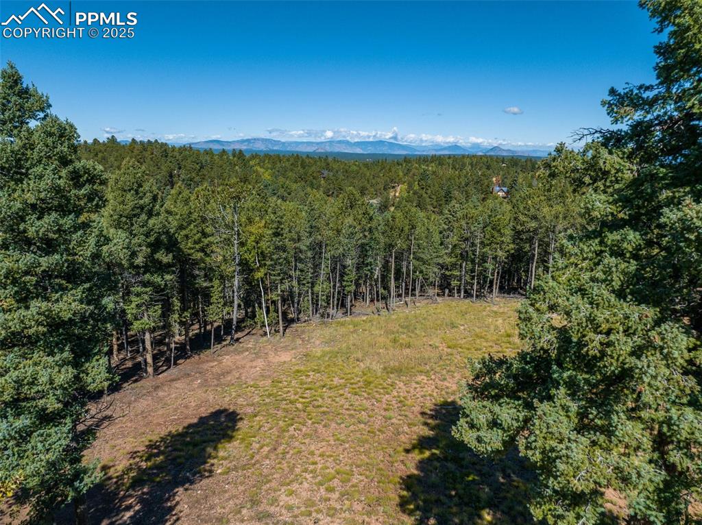 Image 9 of 21: Aerial View