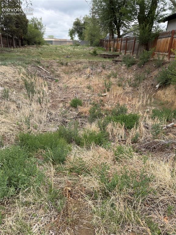 Image 4 of 12: Yard
