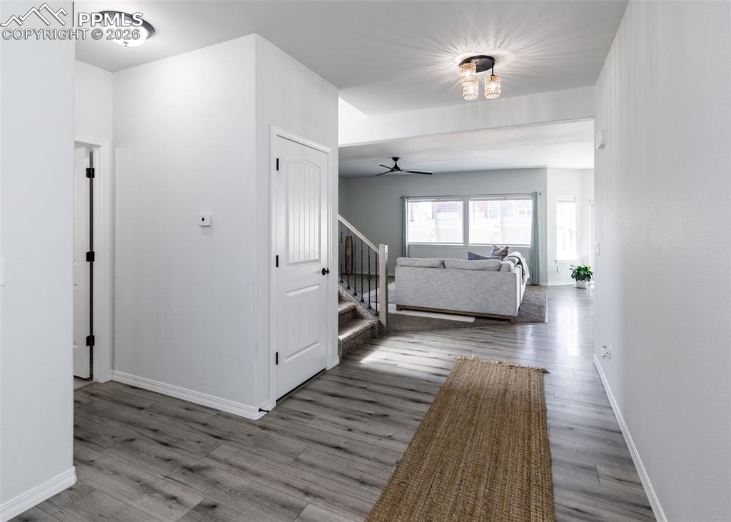 Image 6 of 50: Other