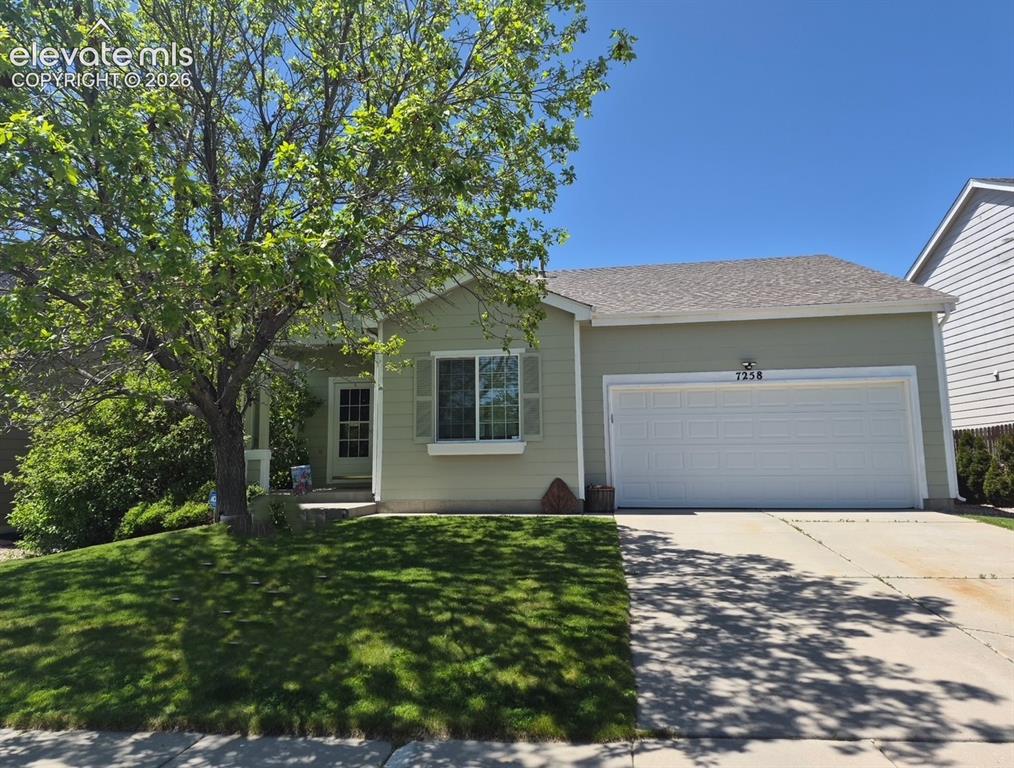 Image 1 of 24: Front of home with beautiful shade trees