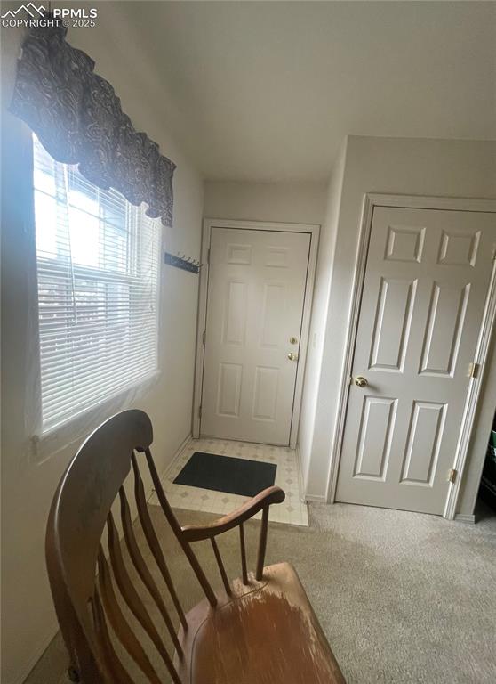 Image 10 of 24: Entry and Closet featuring light colored carpet