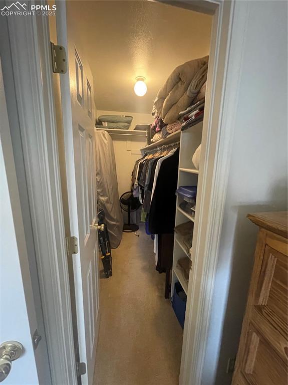 Image 15 of 24: Spacious closet with light carpet