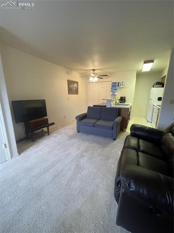 Image 9 of 24: Living room featuring light colored carpet