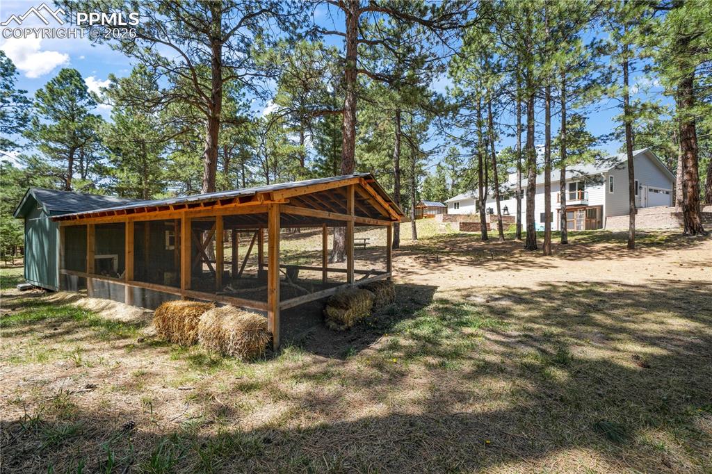 Image 46 of 50: Chicken coop and run