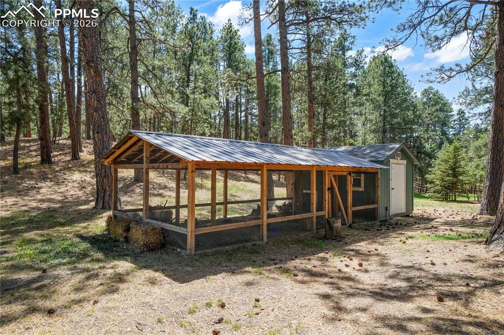 Image 47 of 50: Chicken coop and run