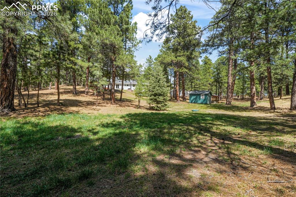 Image 48 of 50: Back yard views