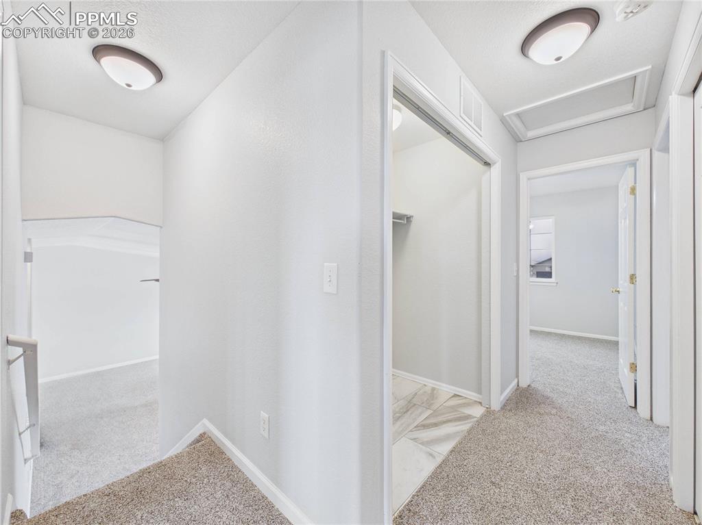 Image 31 of 46: Other