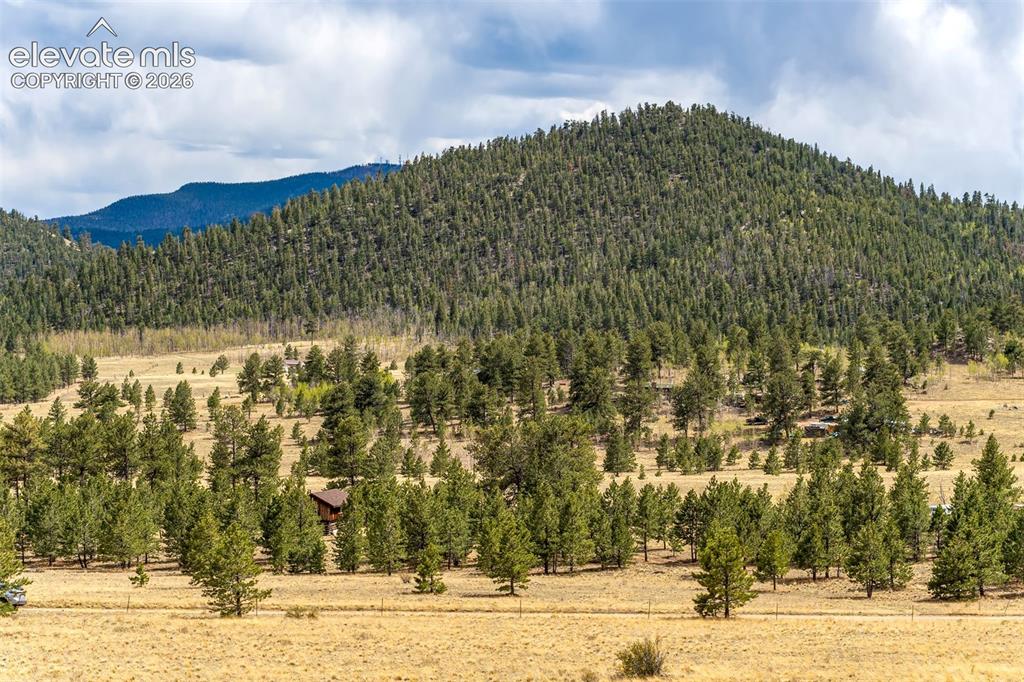 Image 10 of 29: View of surrounding community