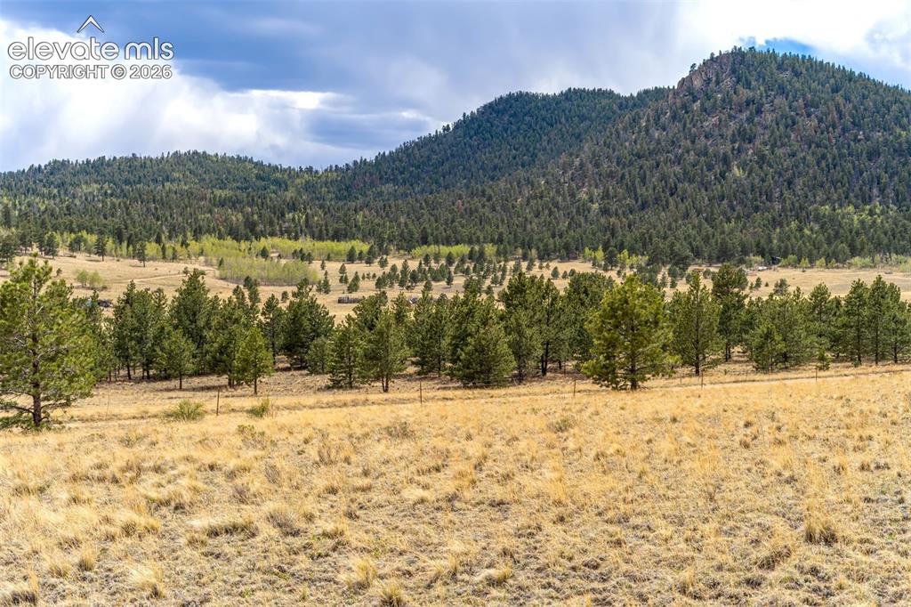Image 12 of 29: Additional views of surrounding community