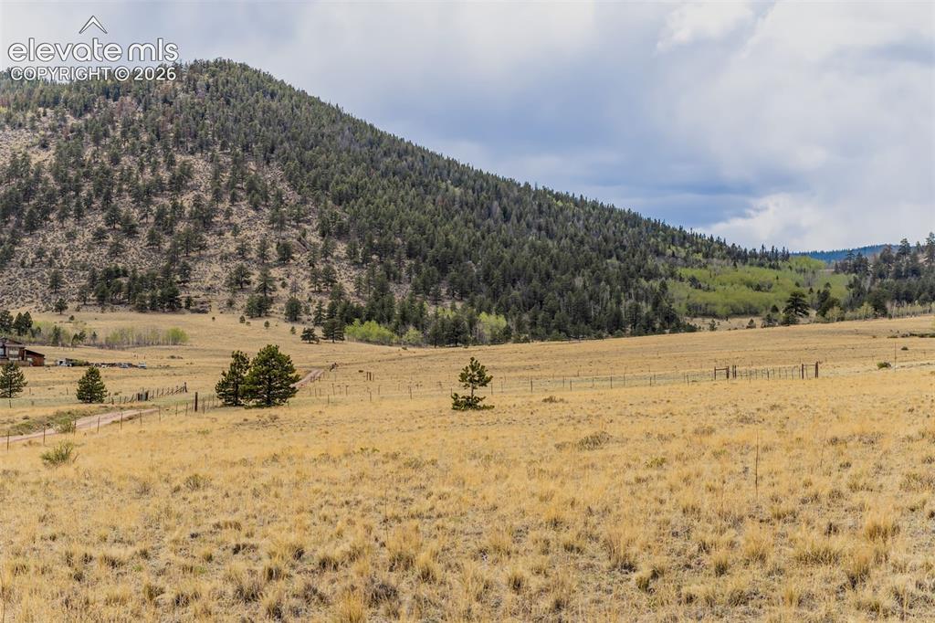 Image 13 of 29: Additional view from meadow area