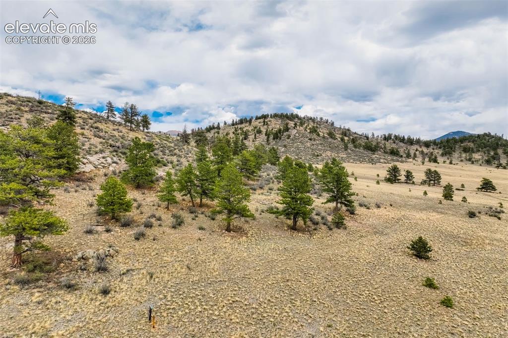 Image 17 of 29: View of sloped lot with trees