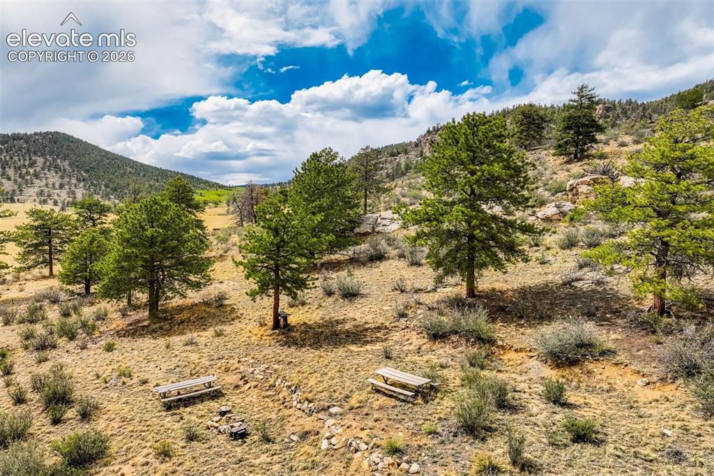 Image 18 of 29: Sloped and treed upper lot